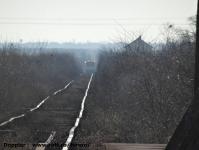 Imagine atasata: Otelec - Pustinis - 2015.01.17 - 09.jpg